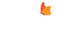 Developer Logo